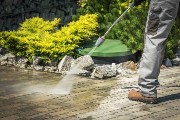 Pre-Holiday Cleaning in Alum Rock, CA